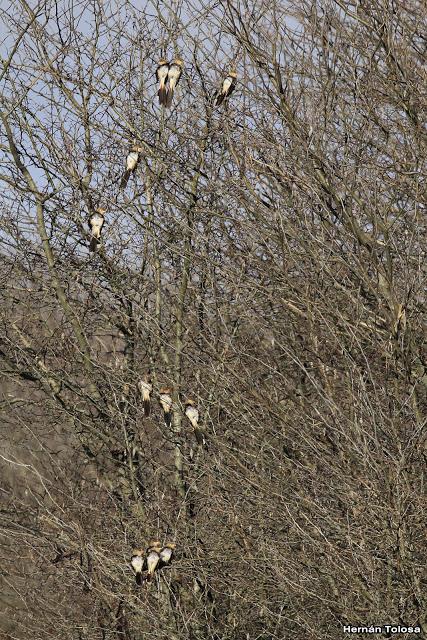 Breve salida por el campo Breve salida por el campo