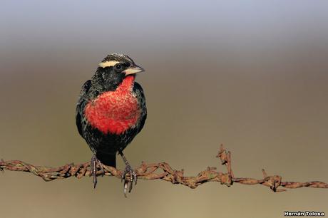 Breve salida por el campo Breve salida por el campo