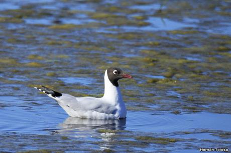 Breve salida por el campo Breve salida por el campo