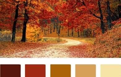 - Matices de Otoño. 2019.