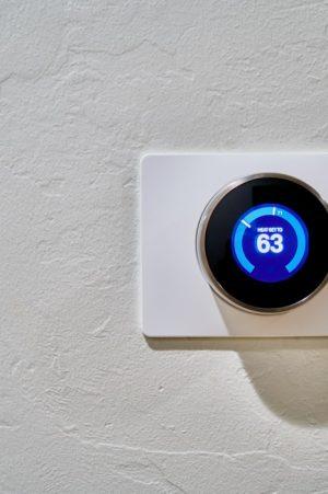 Amelia Jiménez Graña: Cuarenta grados