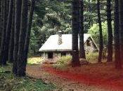 nominados Premios Guillermo Baskerville