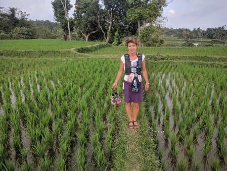 Lombok. Visita a Tetebatu: arrozales y más IMG_20190810_155637