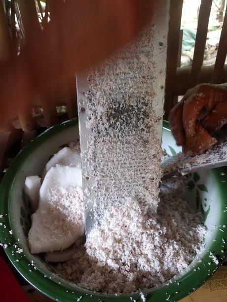 Lombok. Visita a Tetebatu: arrozales y más IMG_20190811_103149