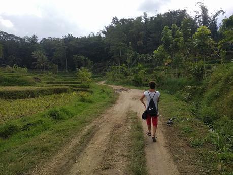 Lombok. Visita a Tetebatu: arrozales y más IMG_20190811_124630