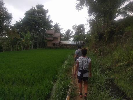 Lombok. Visita a Tetebatu: arrozales y más IMG_20190810_143754