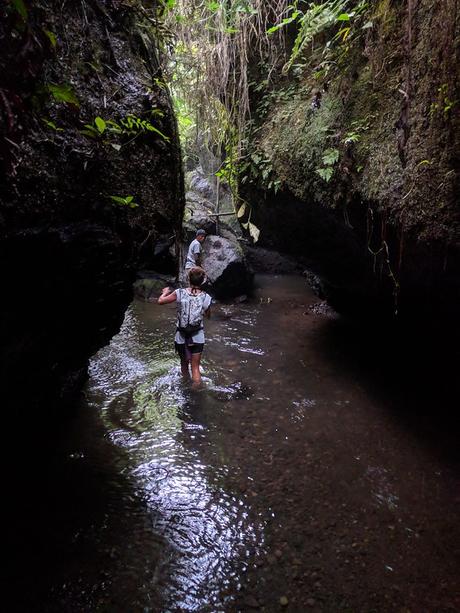 Lombok. Visita a Tetebatu: arrozales y más IMG_20190810_152025