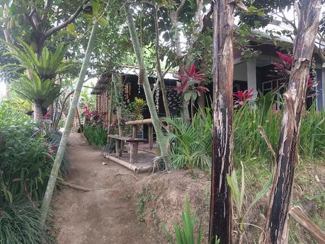 Lombok. Visita a Tetebatu: arrozales y más IMG_20190810_145006