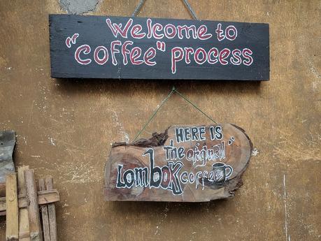 Lombok. Visita a Tetebatu: arrozales y más IMG_20190811_100904