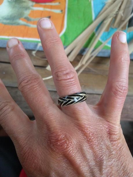 Lombok. Visita a Tetebatu: arrozales y más IMG_20190811_160307