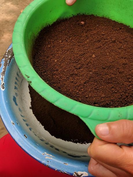 Lombok. Visita a Tetebatu: arrozales y más IMG_20190811_102427