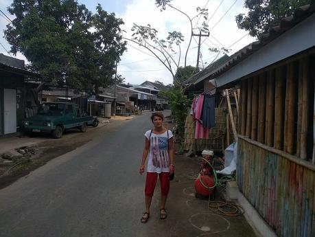 Lombok. Visita a Tetebatu: arrozales y más IMG_20190811_122435