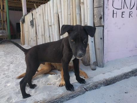 Lombok. Kuta Lombok y sus playas IMG_20190809_120619