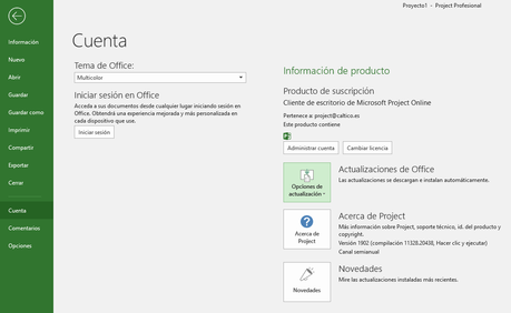 Microsoft Project 2019