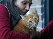 Festival Valladolid 2019: gato pared”, “Intemperie” huevo dinosaurio”