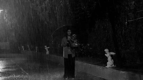 The Halt de Lav Diaz