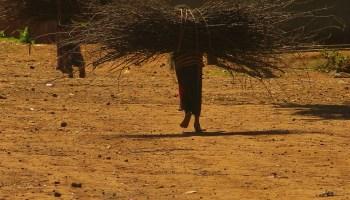 No hay mayor acto de rebeldía que estudiar
