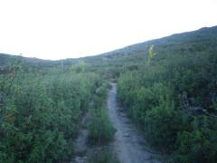 La bajada al barranco del Jaramilla