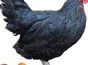 ...como huevo castaña