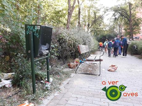 Carboneros, lavanderas, papamoscas y madroños al lado del cole