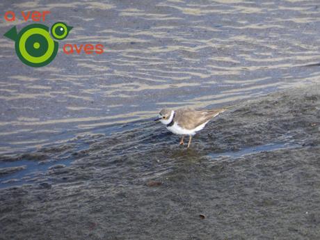 Villaverde-Casa de Campo, una conexión natural perfecta