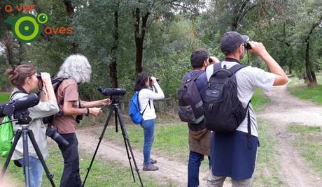 Villaverde-Casa de Campo, una conexión natural perfecta
