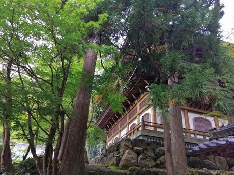 Bitácora de la peregrinación de un monje Zen en Japón 2019 Bitácora de la peregrinación de un monje Zen en Japón 2019