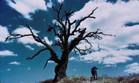 Bella e perduta - 2015