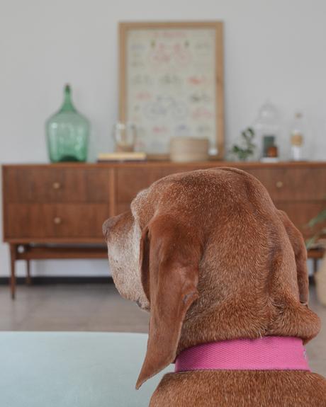Un mueble estilo americano que ahora sí luce la madera