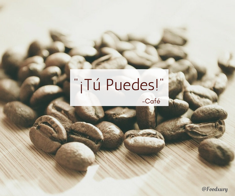 20 Frases de Café Inspiradoras para los Cafeteros de Corazón