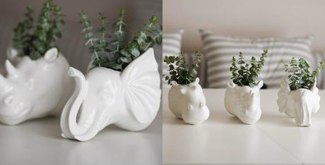 ENTREVISTA A LORA DE MI SILLA AZUL