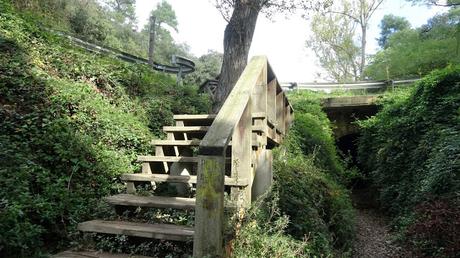 Paseo por el Fondal de la Budellera | Serra de Collserola