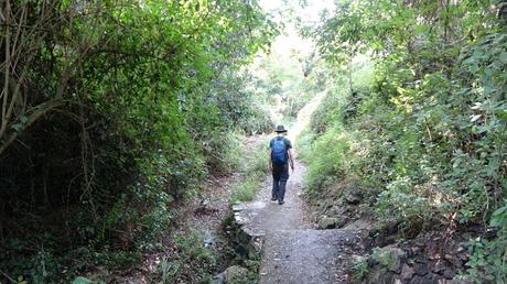 Paseo por el Fondal de la Budellera | Serra de Collserola