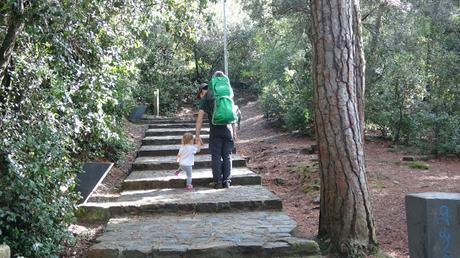 Paseo por el Fondal de la Budellera | Serra de Collserola