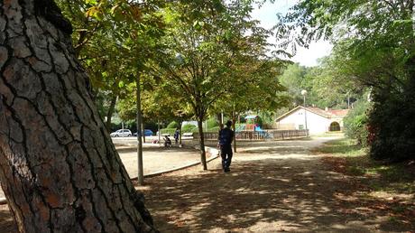Paseo por el Fondal de la Budellera | Serra de Collserola