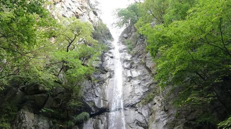 Circular por las Gorges del Freser | Queralbs (Vall de Ribes)