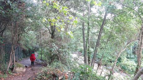 De la Garriga a el Figaró | Camí fluvial del riu Congost