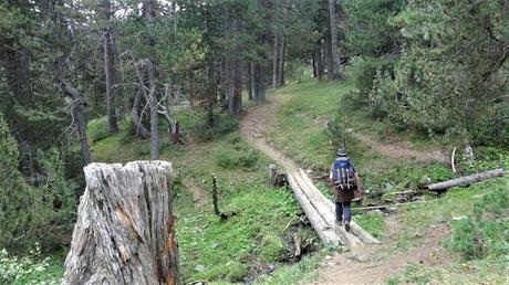 De les Planes de Son a las Estanyeres | Pallars Sobirà De les Planes de Son a las Estanyeres | Pallars Sobirà