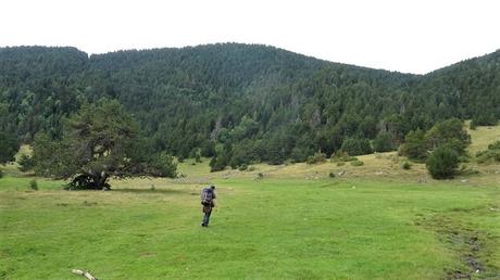 De les Planes de Son a las Estanyeres | Pallars Sobirà