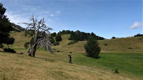 De les Planes de Son a las Estanyeres | Pallars Sobirà De les Planes de Son a las Estanyeres | Pallars Sobirà