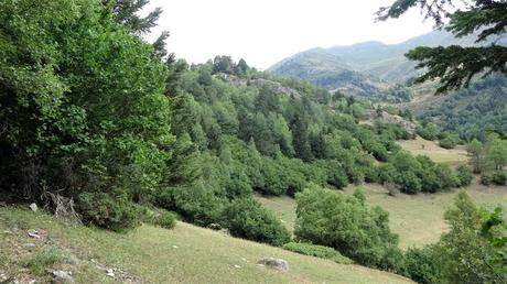 Explorando el Bosc dels Cirerers desde el refugi del Fornet | Pallars Sobirà