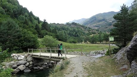 Explorando el Bosc dels Cirerers desde el refugi del Fornet | Pallars Sobirà