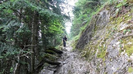 Explorando el Bosc dels Cirerers desde el refugi del Fornet | Pallars Sobirà
