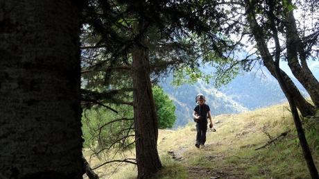 Explorando el Bosc dels Cirerers desde el refugi del Fornet | Pallars Sobirà