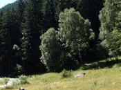 refugi Gerdar cascada Gerber Pallars Sobirà