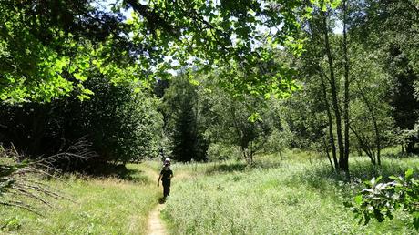Del refugi del Gerdar a la cascada de Gerber | Pallars Sobirà Del refugi del Gerdar a la cascada de Gerber | Pallars Sobirà