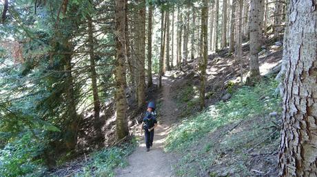 Del refugi del Gerdar a la cascada de Gerber | Pallars Sobirà Del refugi del Gerdar a la cascada de Gerber | Pallars Sobirà