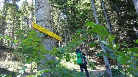 Del refugi del Gerdar a la cascada de Gerber | Pallars Sobirà Del refugi del Gerdar a la cascada de Gerber | Pallars Sobirà