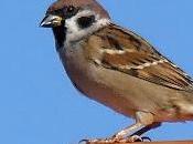 Pendientes meteorología