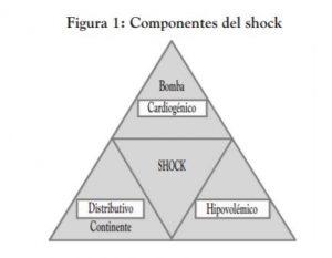 Fisiopatología del Shock Fisiopatología del Shock